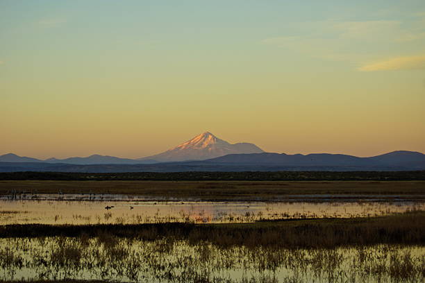 istock Mt. Shasta Wetlands 494444970