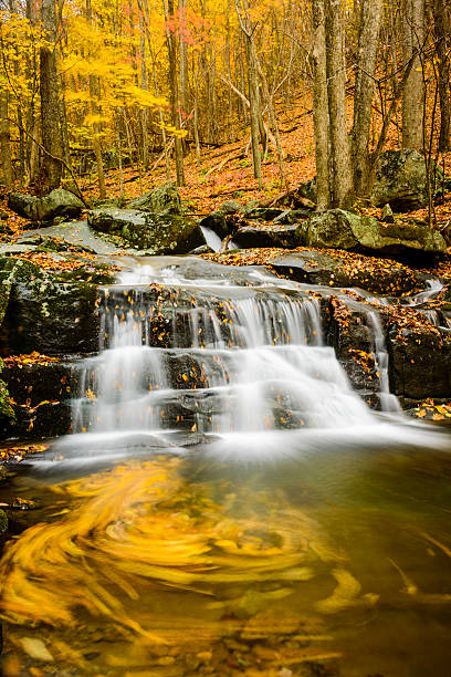 Waterfall with autumn  leaves spiraling in the eddies of the flowing water.