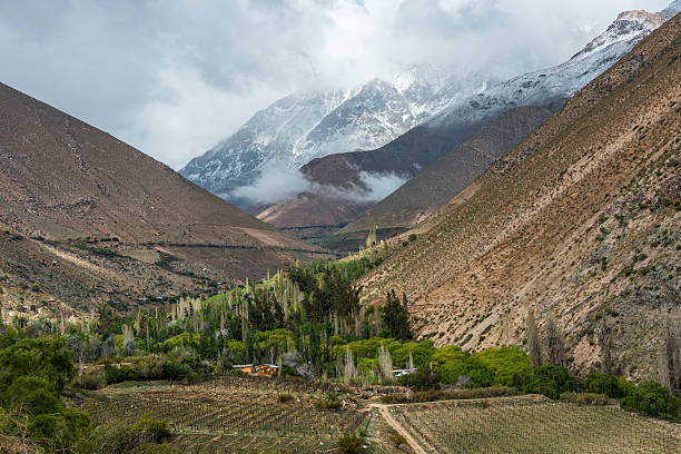 elqui valley, parte de los andes, chile desierto de atacama - vinos chilenos fotografías e imágenes de stock