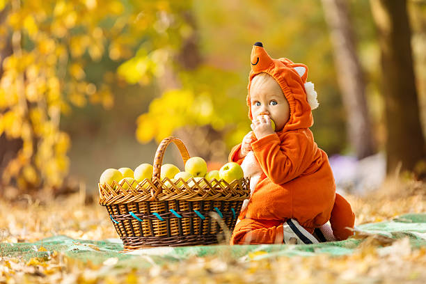 Cute baby boy dressed in fox costume stock photo