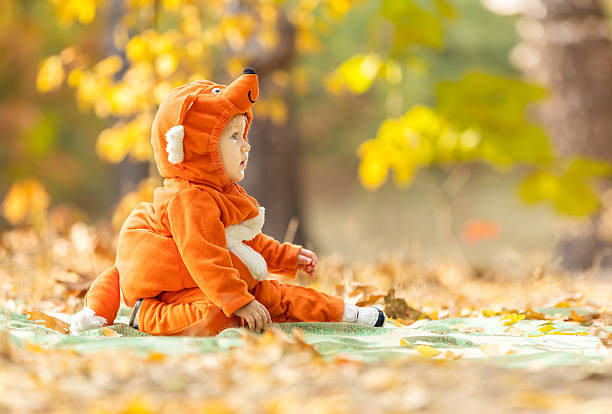 istock Cute baby boy dressed in fox costume 494447744