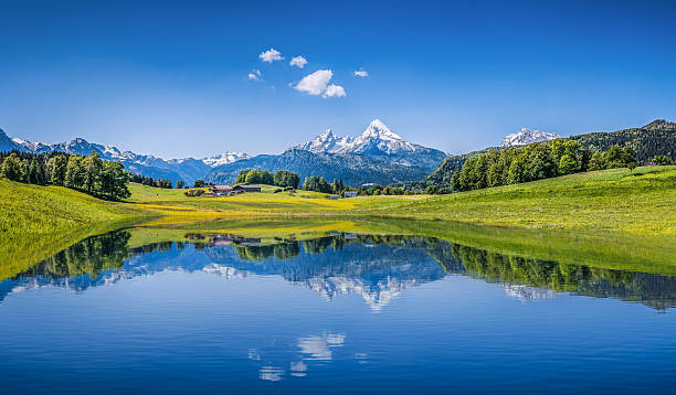 idyllische sommer landschaft mit klaren mountain lake in den alpen - austria european alps landscape lake stock-fotos und bilder