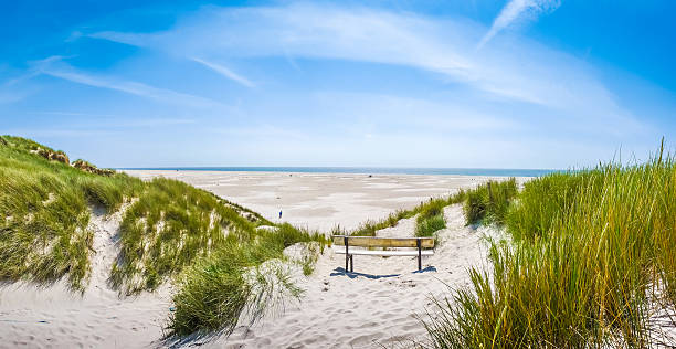Beautiful tranquil dune landscape with idyllic bench overlooking the German North Sea and a long beach on the island of Amrum, Schleswig-Holstein, Germany