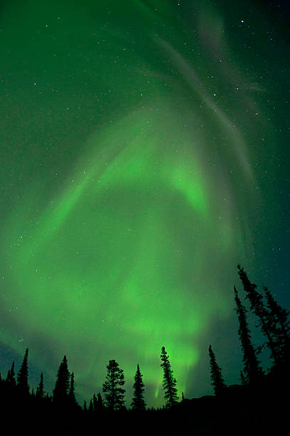 istock Aurora Polaris, Alaska 494450182