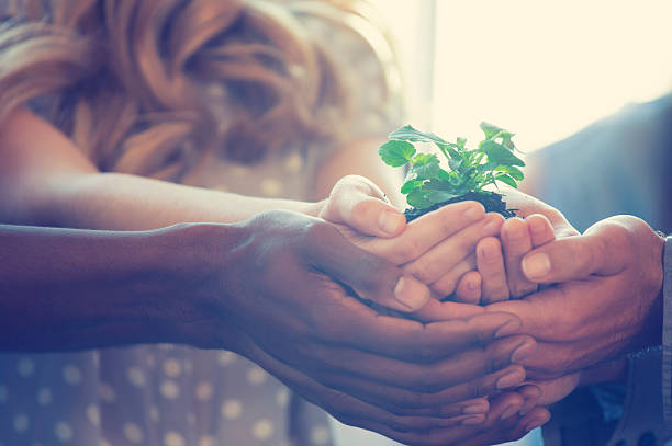 istock Growth concept. Group holding a seedling plant. 494463664