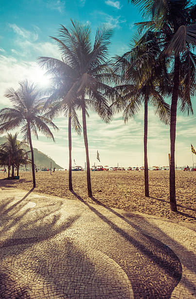 con palme sulla spiaggia di copacabana a rio de janeiro - copacabana beach immagine foto e immagini stock