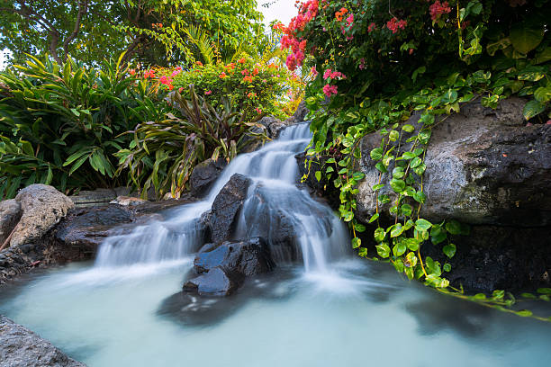 cascada en la playa de waikiki en kalakaua avenue en honolulu, hawai. - waikiki beach fotografías e imágenes de stock