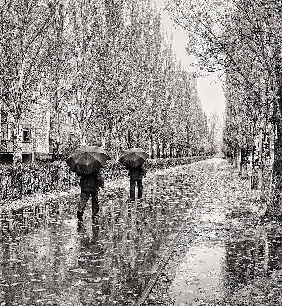 istock Autumn in the park.Black and white. 494465766