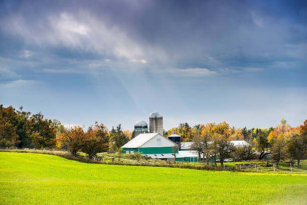 7 500 Farm Land Ontario Canada Stock Photos Pictures Royalty Free 7 500 Farm Land Ontario Canada Stock Photos Pictures Royalty Free