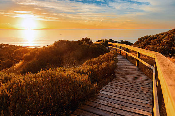 istock Landscape of South Australia 494468724