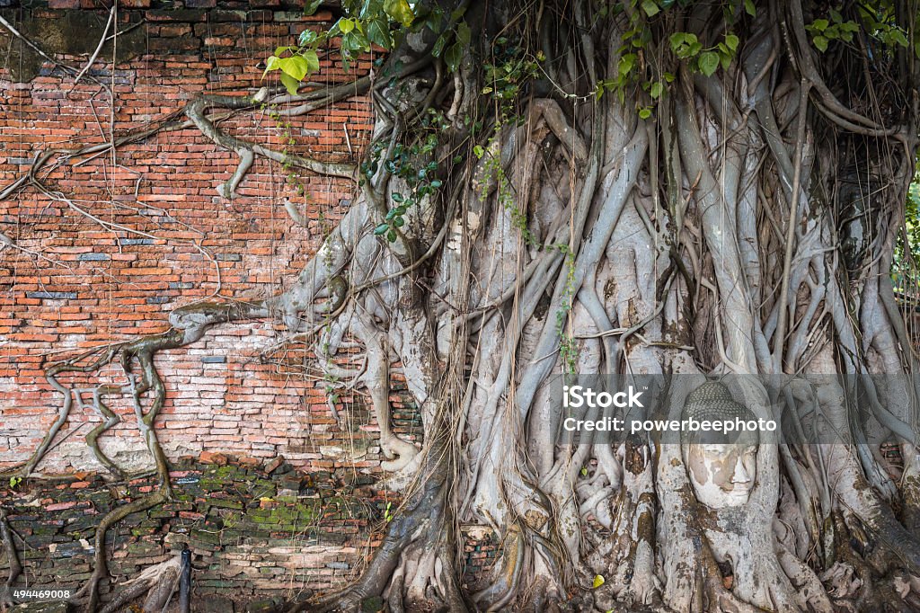 Ancient Wall and Head of Buddha statue Ancient Wall and Head of Buddha statue in the tree roots at Wat Mahathat, Ayutthaya, Thailand. 2015 Stock Photo