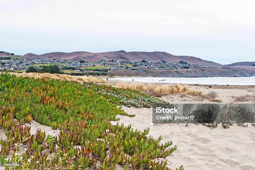 Doran Beach views with homes in background folks on beach This relaxing view of Doran Beach in Northern California near Bodega Bay has ice plants, beach and homes in the background with insignificant people in the background enjoying the beach. Bodega Bay Stock Photo