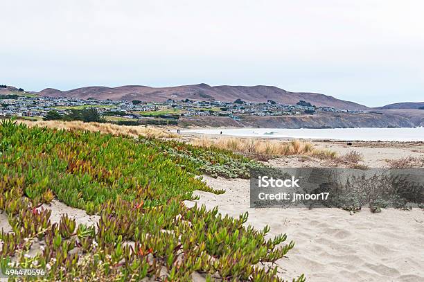 Doran Beach Views With Homes In Background Folks On Beach Stock Photo - Download Image Now