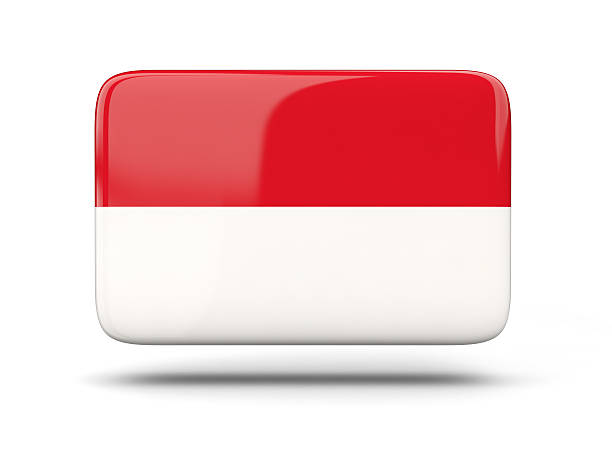 istock Square icon with flag of indonesia 494470722