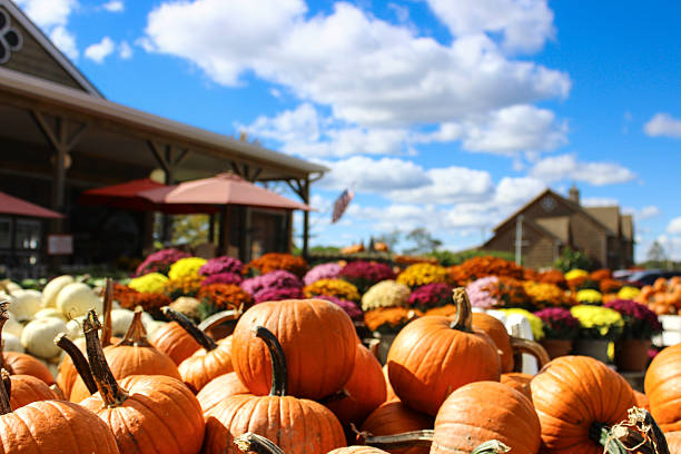 Pumpkins and Mums at Market A pile of small orange pumkins rest in a woodedn box in from of a large display of colorful mums. The American Flag waves in the background with the blue sky being it. gourd photos stock pictures, royalty-free photos & images