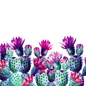 istock Watercolor cactus 494477954