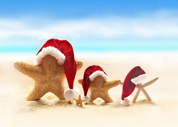 istock Starfish on summer beach and Santa hat 494478078