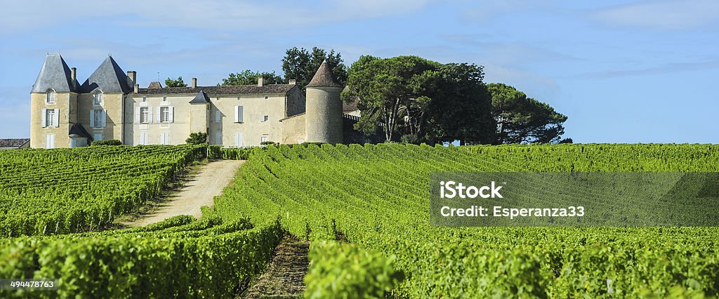 Vinha e Castelo de'Yquem, Sauternes REGIÃO DE Aquitaine, Franco - Royalty-free Bordéus Foto de stock