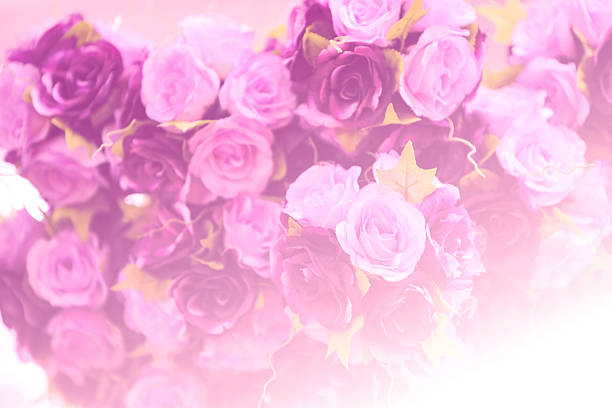 istock Artificial flowers, foliage and colorful abstract background 494478894