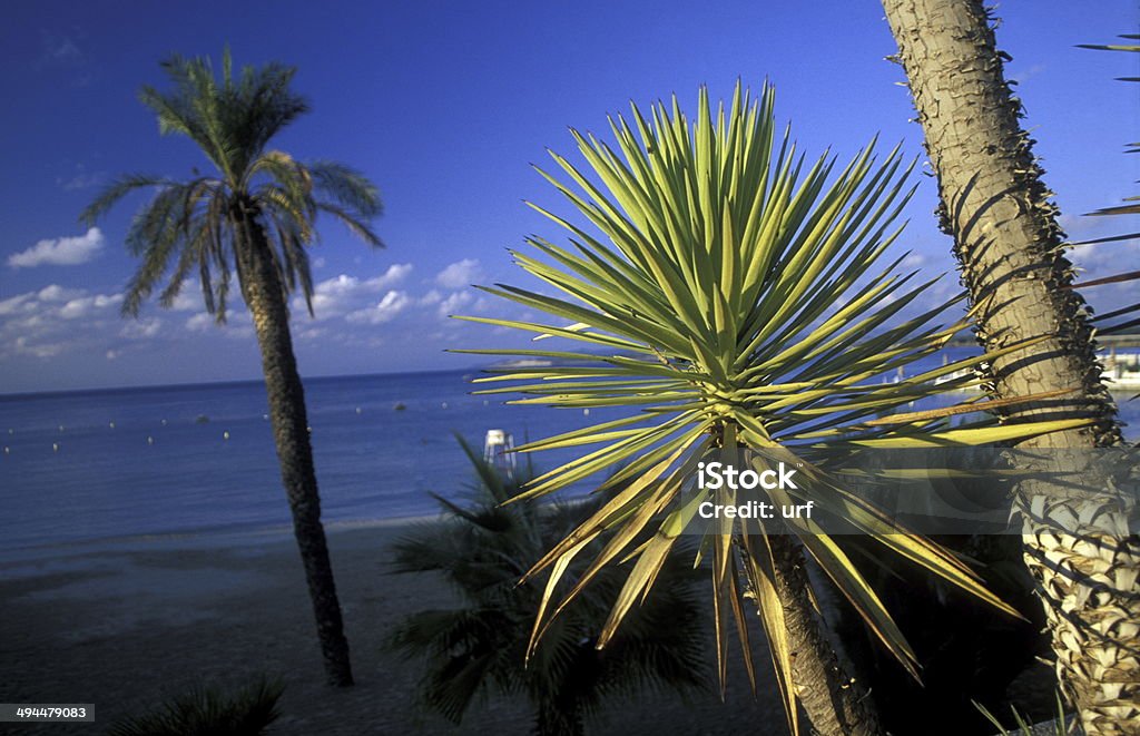 SYTIA LATTAKIA BEACH The Mediterranean coast near Lattakia in western Syria in the Middle East Arabia Stock Photo