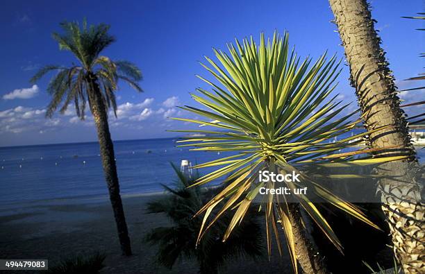 Sytia Lattakia Beach Stock Photo - Download Image Now - Arabia, Asia, Beach