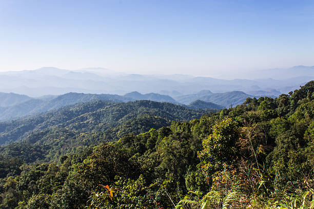 istock Morning View from Mountain, Pha Daeng National Park in Chiangmai 494479111