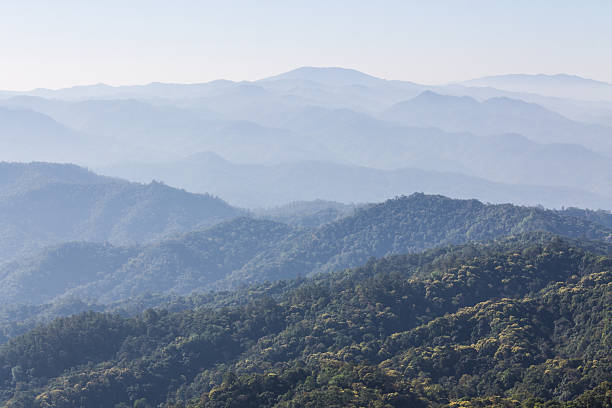 istock Morning View from Mountain, Pha Daeng National Park in Chiangmai 494479125