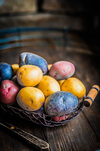 Red,blue and yellow potatoes on wooden background