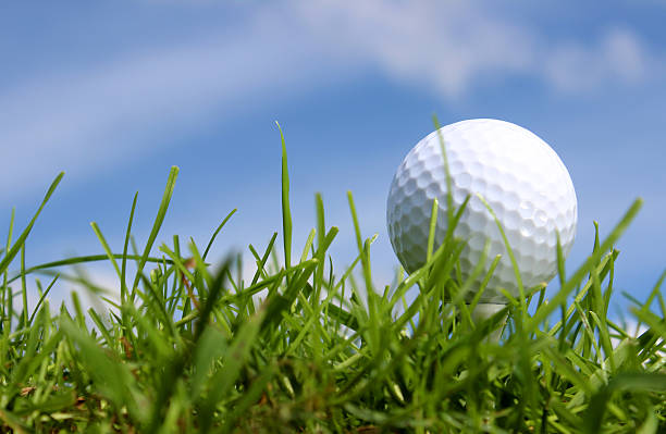 istock Close-up golf ball in grass on golf course, blue sky 494480419