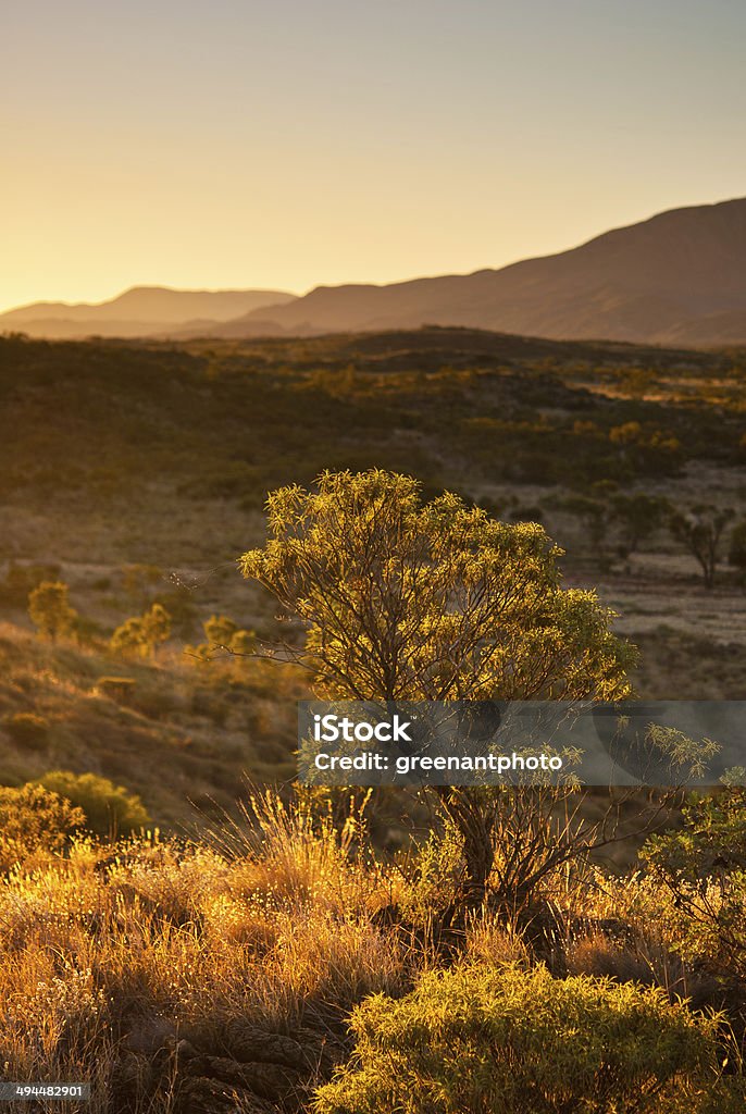 Afternoon light in the West MacDonnell Ranges Taken near Finke River on the Larapinta Trail. West MacDonnell ranges, Northern Territory, Australia. Australia Stock Photo
