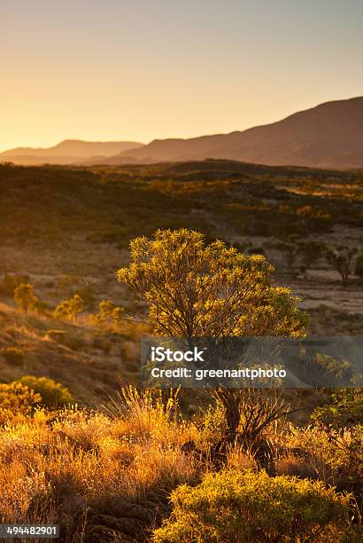 Afternoon Light In The West Macdonnell Ranges Stock Photo - Download Image Now - Australia, Day, Desert Area