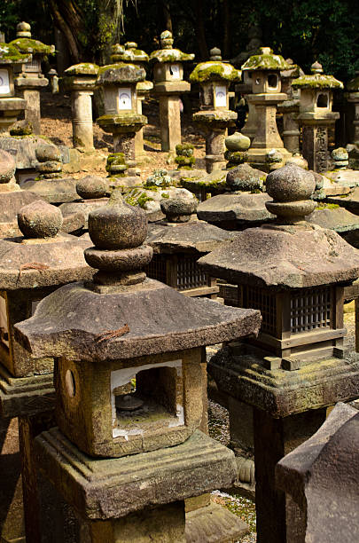 istock Stone lanterns in Nara, Japan 494486033