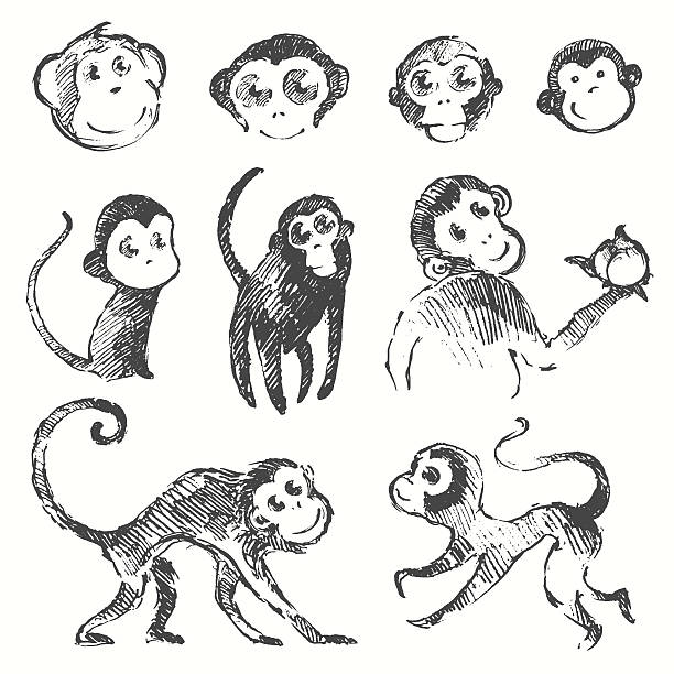 ilustrações de stock, clip art, desenhos animados e ícones de macaco engraçado conjunto de ano novo chinês esboço desenhado - 2016