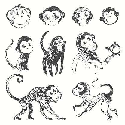 Set of funny cute monkeys monkey year Chinese zodiac symbol vector illustration hand drawn sketch