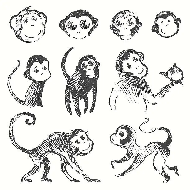 Vector illustration of Set funny monkey new year Chinese drawn sketch