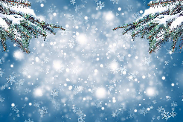 istock Christmas background with fir branches and snow 494497300