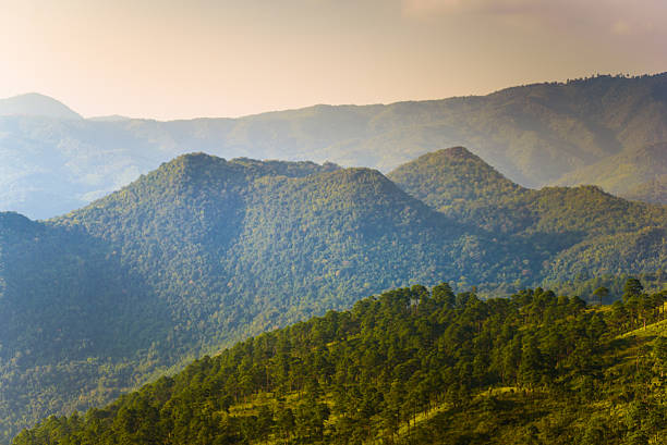 istock Panoramic view misty morning sunrise in mountain at north Thailand 494499328