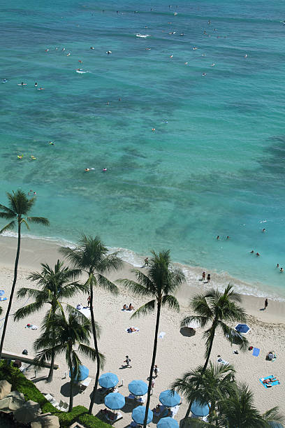 playa de waikiki en hawai. - hawaii islands big island waikiki beach fotografías e imágenes de stock