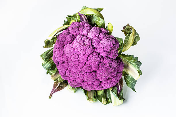 fioletowy kalafior na białym tle. lato warzyw. - purple cauliflower zdjęcia i obrazy z banku zdjęć