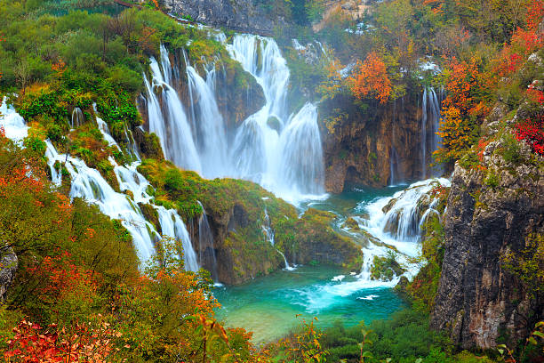 das cataratas do parque nacional de plitvice - croatia nature tree plant - fotografias e filmes do acervo