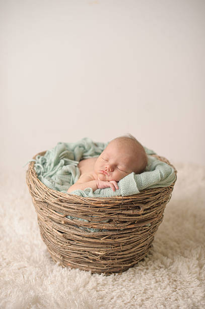 istock Newborn Sleeping in Twig Basket 494505289