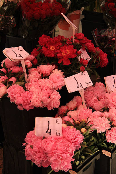 Bouquets with pink peonies at the flower market in Aix en Provence