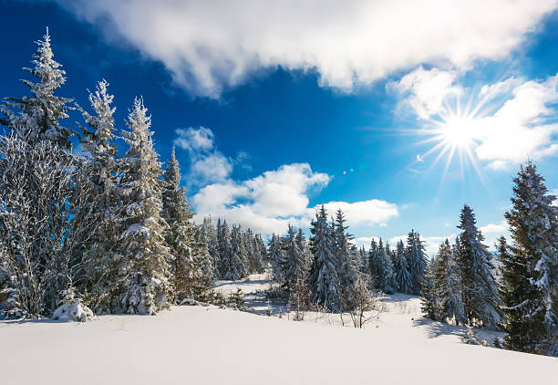 istock Summy Day in Carpathian Mountains 494505862