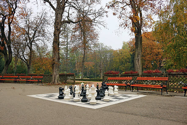 istock park with chess figures autumn season 494506534