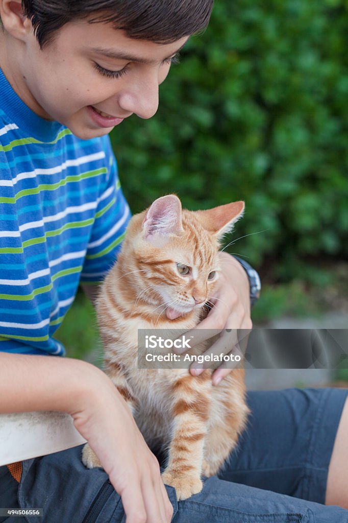 Child with Cat child with cat in the garden 2015 Stock Photo