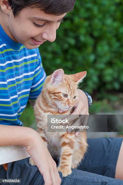 Child With Cat Stock Photo - Download Image Now - 2015, Animal, Boys
