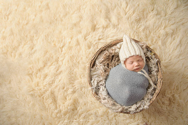 спящая новорожденный мальчик - baby animal nest newborn lying down стоковые фото и изображения
