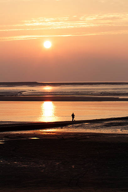 istock Man Walking Dog in Burnham-on-Sea 494507050
