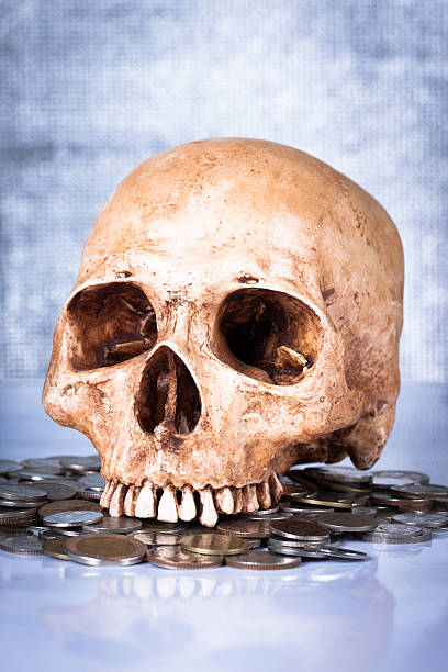 istock Financial concept, weathered human skull and coins 494507411