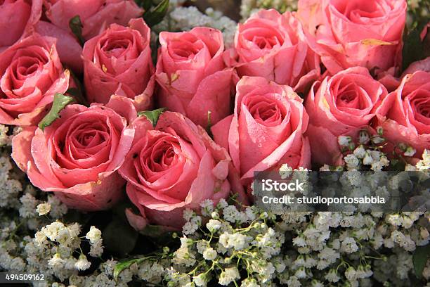 Pink Roses And Baby Breath Bouquet Stock Photo - Download Image Now - 2015, Arrangement, Bouquet